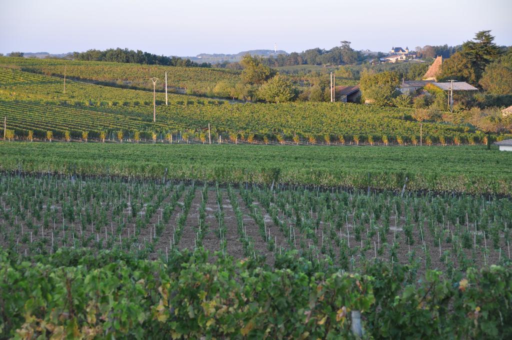 Saint-Quentin-de-Caplong Les Foucauds酒店 外观 照片