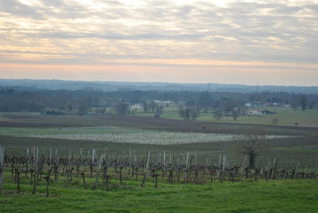Saint-Quentin-de-Caplong Les Foucauds酒店 客房 照片